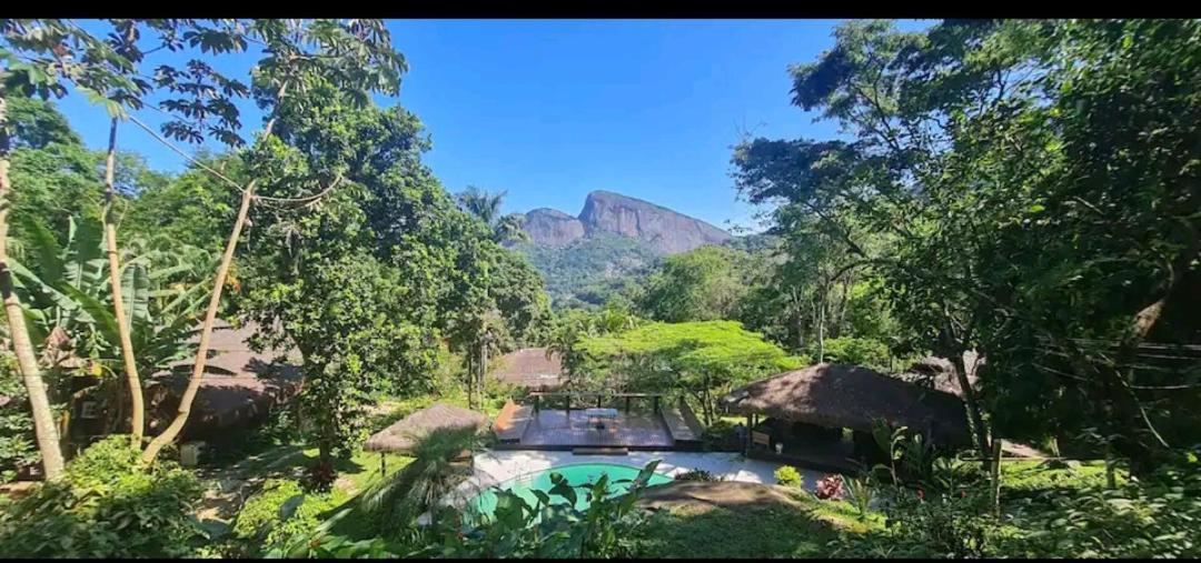 Casa Na Floresta