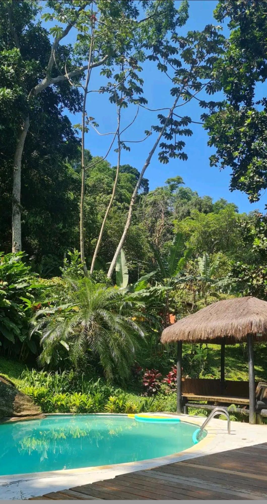 Casa Na Floresta Chalé *