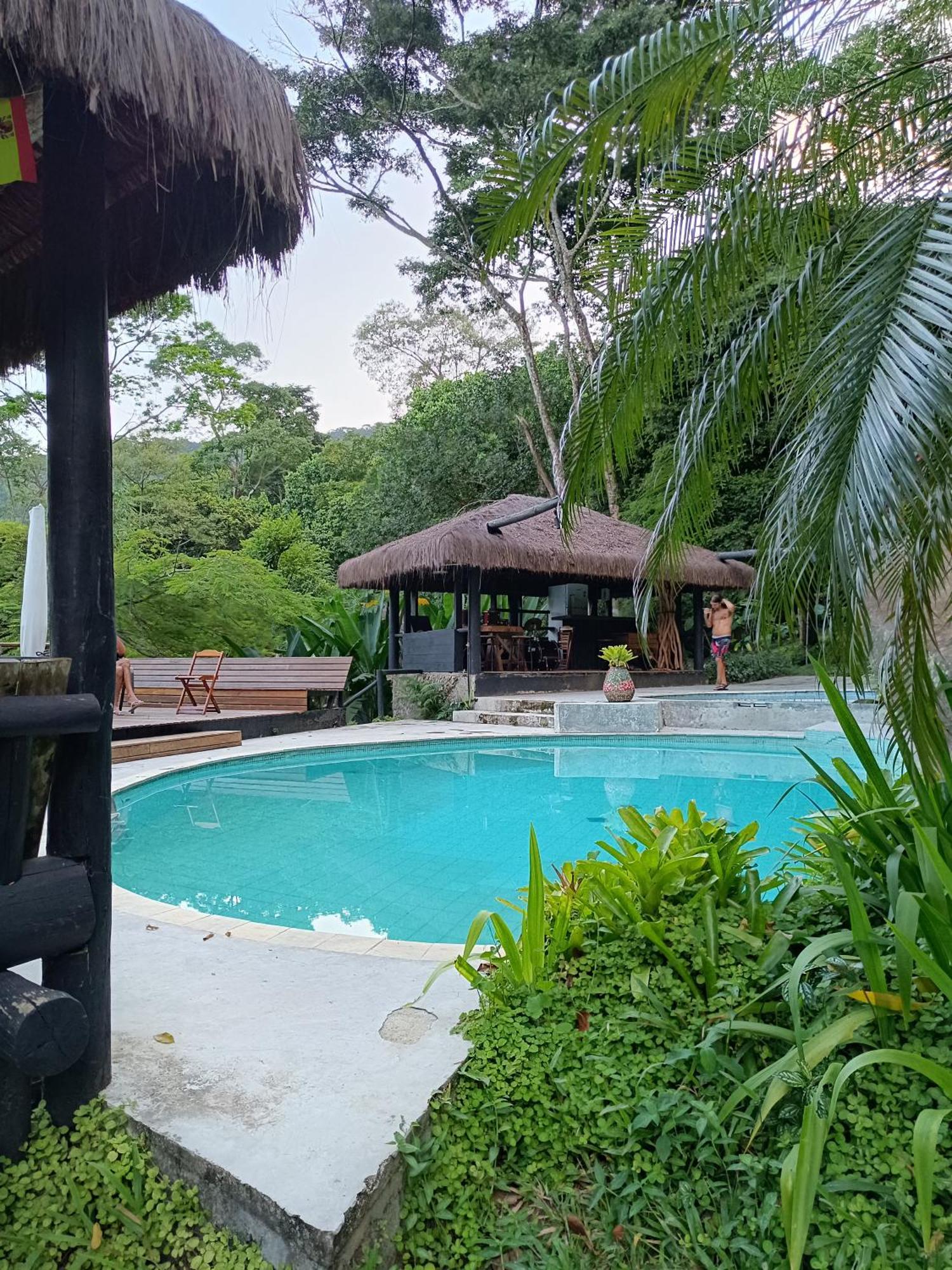 Casa Na Floresta
